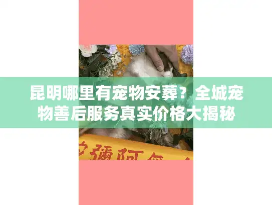 昆明哪里有宠物安葬？全城宠物善后服务真实价格大揭秘
