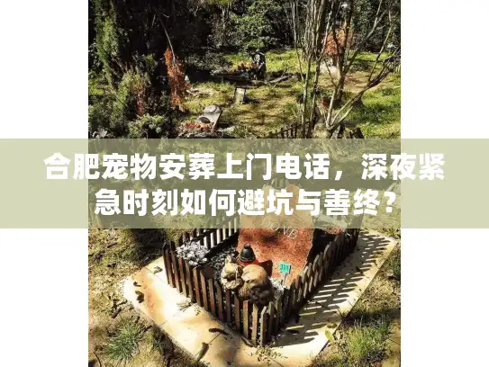 合肥宠物安葬上门电话，深夜紧急时刻如何避坑与善终？