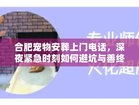 合肥宠物安葬上门电话，深夜紧急时刻如何避坑与善终？