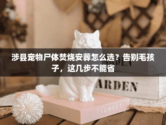 涉县宠物尸体焚烧安葬怎么选？告别毛孩子，这几步不能省