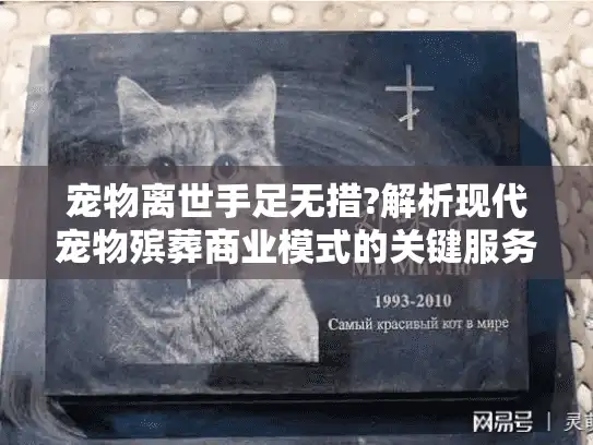 宠物离世手足无措?解析现代宠物殡葬商业模式的关键服务环节