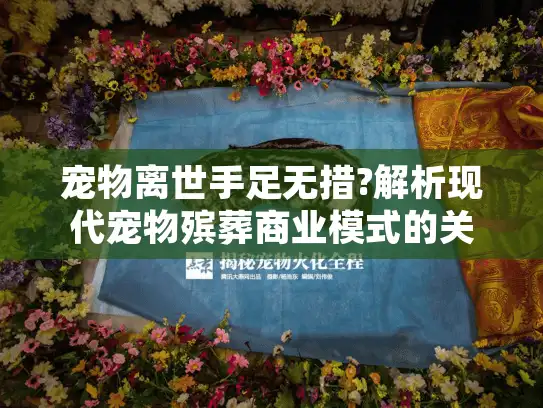 宠物离世手足无措?解析现代宠物殡葬商业模式的关键服务环节