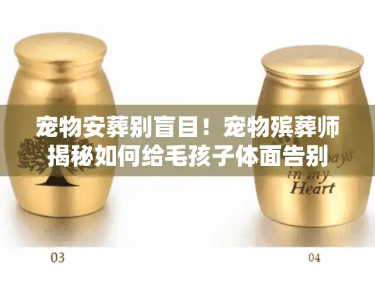 宠物安葬别盲目！宠物殡葬师揭秘如何给毛孩子体面告别