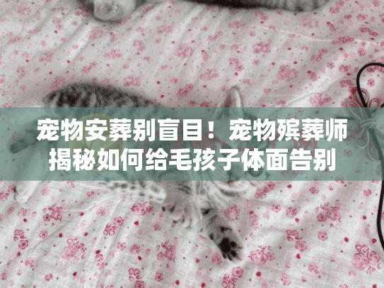 宠物安葬别盲目！宠物殡葬师揭秘如何给毛孩子体面告别