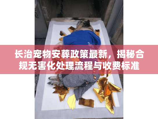 长治宠物安葬政策最新，揭秘合规无害化处理流程与收费标准
