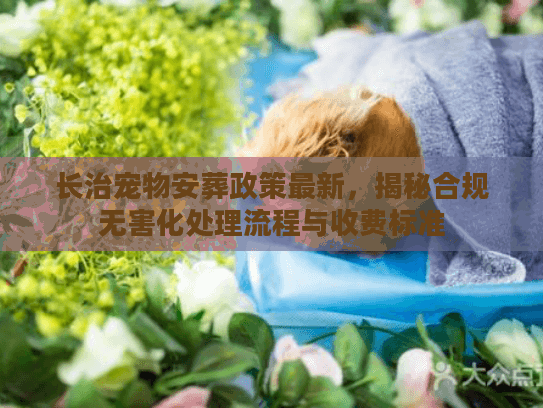 长治宠物安葬政策最新，揭秘合规无害化处理流程与收费标准