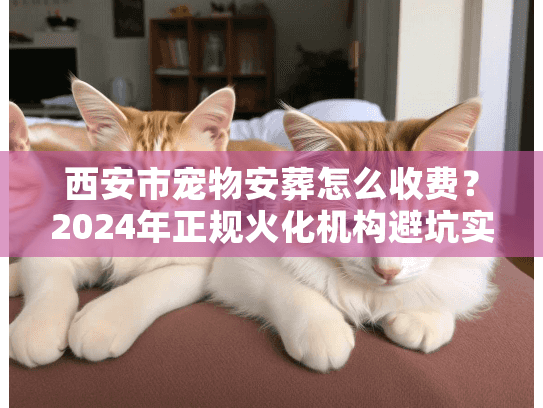 西安市宠物安葬怎么收费？2024年正规火化机构避坑实录