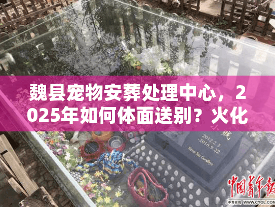 魏县宠物安葬处理中心，2025年如何体面送别？火化全流程解密