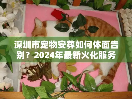 深圳市宠物安葬如何体面告别？2024年最新火化服务实测