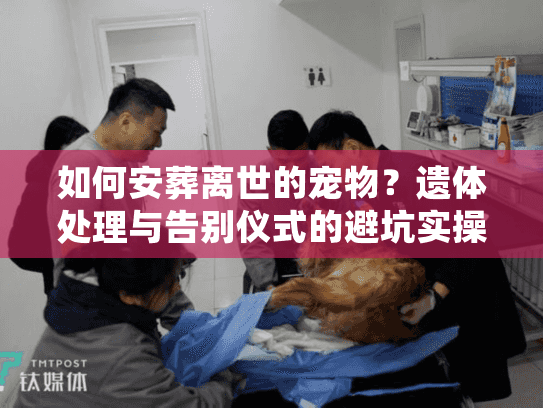 如何安葬离世的宠物?遗体处理与告别仪式的避坑实操 如何安葬离世的宠物?遗体处理与告别仪式的避坑实操