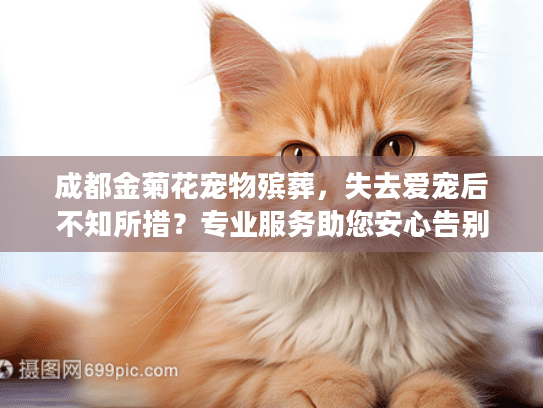成都金菊花宠物殡葬，失去爱宠后不知所措？专业服务助您安心告别