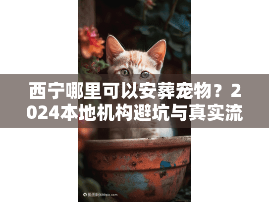 西宁哪里可以安葬宠物?2024本地机构避坑与真实流程 西宁哪里可以安葬宠物?2024本地机构避坑与真实流程