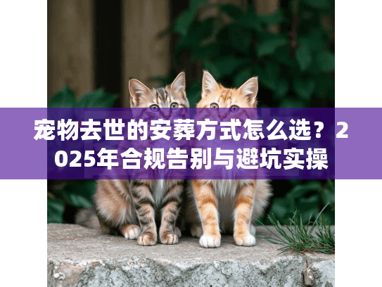 宠物去世的安葬方式怎么选？2025年合规告别与避坑实操
