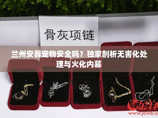 兰州安葬宠物安全吗？独家剖析无害化处理与火化内幕