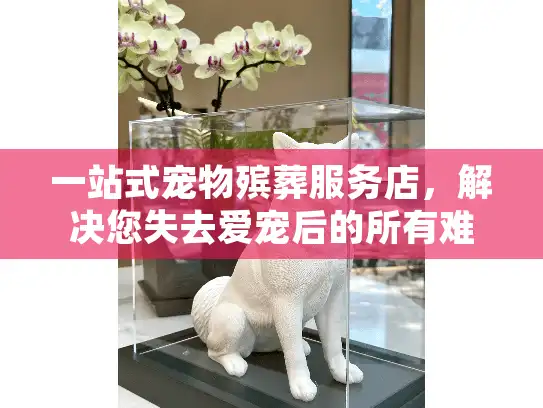 一站式宠物殡葬服务店，解决您失去爱宠后的所有难题