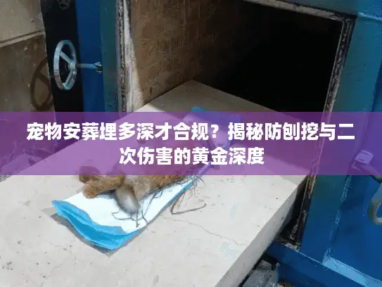 宠物安葬埋多深才合规？揭秘防刨挖与二次伤害的黄金深度