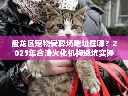 盘龙区宠物安葬场地址在哪?2025年合法火化机构避坑实锤 盘龙区宠物安葬场地址在哪?2025年合法火化机构避坑实锤