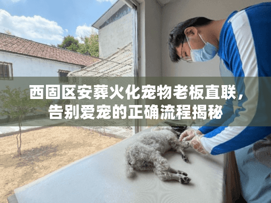 西固区安葬火化宠物老板直联，告别爱宠的正确流程揭秘