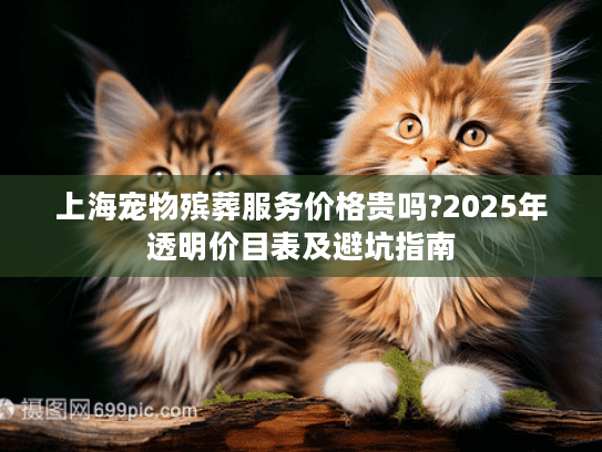 上海宠物殡葬服务价格贵吗?2025年透明价目表及避坑指南