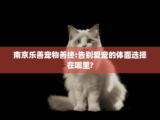 南京乐善宠物善终:告别爱宠的体面选择在哪里?