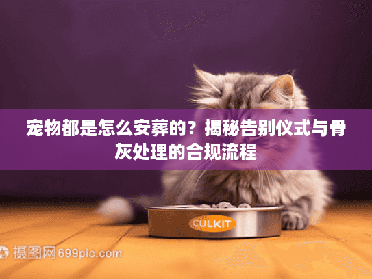 宠物都是怎么安葬的?揭秘告别仪式与骨灰处理的合规流程 宠物都是怎么安葬的?揭秘告别仪式与骨灰处理的合规流程