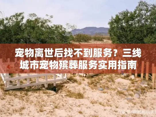 宠物离世后找不到服务？三线城市宠物殡葬服务实用指南