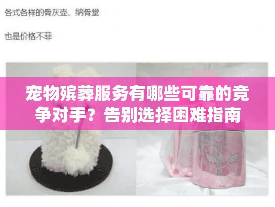 宠物殡葬服务有哪些可靠的竞争对手？告别选择困难指南