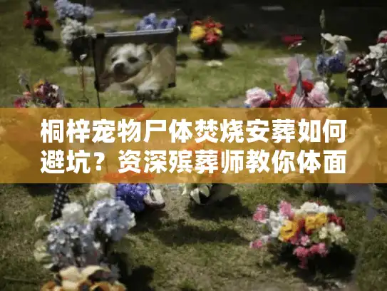 桐梓宠物尸体焚烧安葬如何避坑?资深殡葬师教你体面送别 桐梓宠物尸体焚烧安葬如何避坑?资深殡葬师教你体面送别