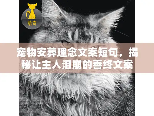 宠物安葬理念文案短句,揭秘让主人泪崩的善终文案 宠物安葬理念文案短句,揭秘让主人泪崩的善终文案