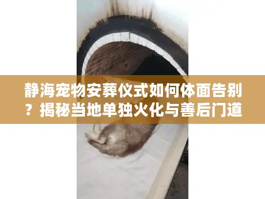 静海宠物安葬仪式如何体面告别?揭秘当地单独火化与善后门道 静海宠物安葬仪式如何体面告别?揭秘当地单独火化与善后门道