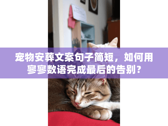宠物安葬文案句子简短，如何用寥寥数语完成最后的告别？