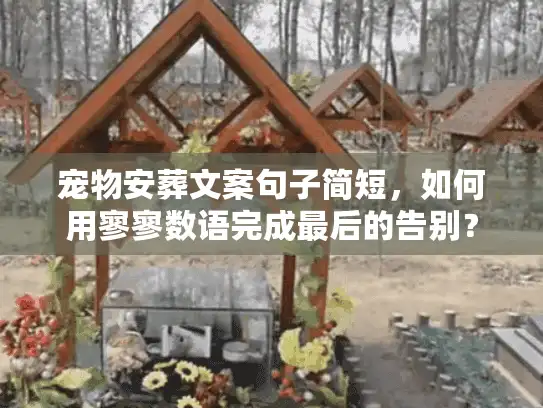 宠物安葬文案句子简短，如何用寥寥数语完成最后的告别？
