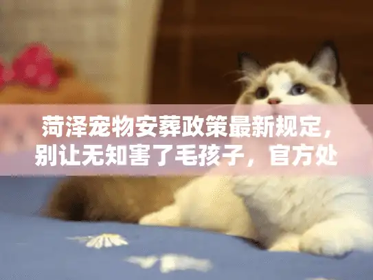 菏泽宠物安葬政策最新规定,别让无知害了毛孩子,官方处理渠道曝光 菏泽宠物安葬政策最新规定,别让无知害了毛孩子,官方处理渠道曝光