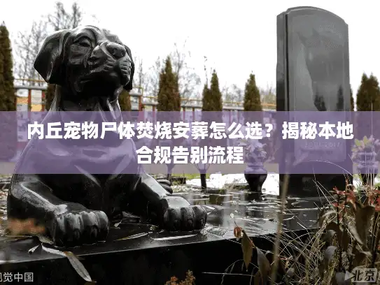 内丘宠物尸体焚烧安葬怎么选?揭秘本地合规告别流程 内丘宠物尸体焚烧安葬怎么选?揭秘本地合规告别流程