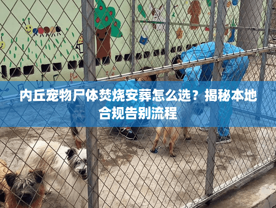 内丘宠物尸体焚烧安葬怎么选?揭秘本地合规告别流程 内丘宠物尸体焚烧安葬怎么选?揭秘本地合规告别流程