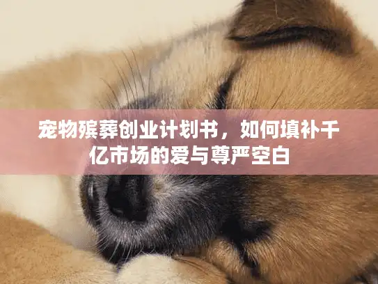 宠物殡葬创业计划书，如何填补千亿市场的爱与尊严空白