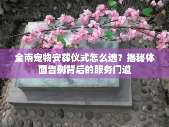 全南宠物安葬仪式怎么选?揭秘体面告别背后的服务门道 全南宠物安葬仪式怎么选?揭秘体面告别背后的服务门道