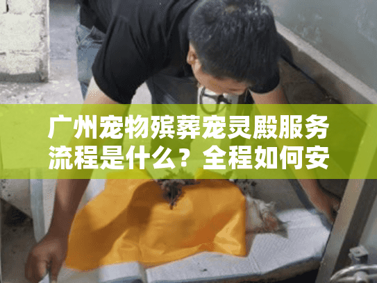 广州宠物殡葬宠灵殿服务流程是什么？全程如何安排爱宠后事？