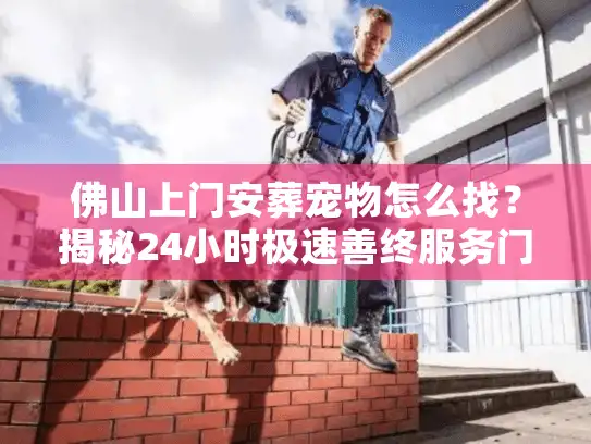 佛山上门安葬宠物怎么找？揭秘24小时极速善终服务门道