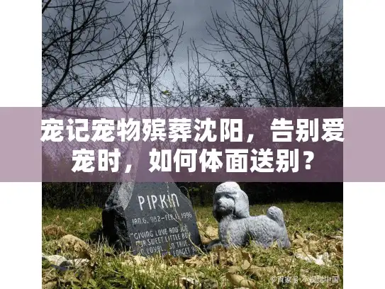 宠记宠物殡葬沈阳，告别爱宠时，如何体面送别？