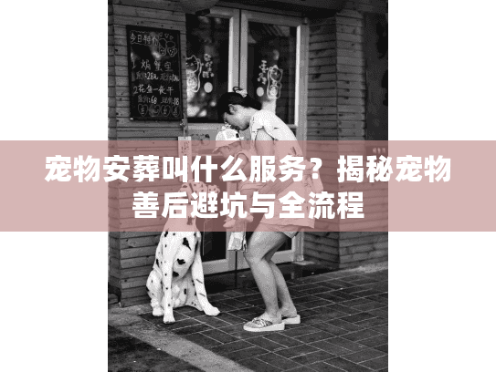 宠物安葬叫什么服务？揭秘宠物善后避坑与全流程