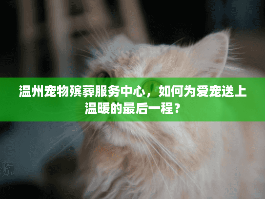 温州宠物殡葬服务中心，如何为爱宠送上温暖的最后一程？