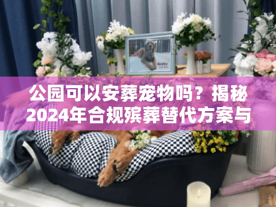 公园可以安葬宠物吗？揭秘2024年合规殡葬替代方案与法律红线