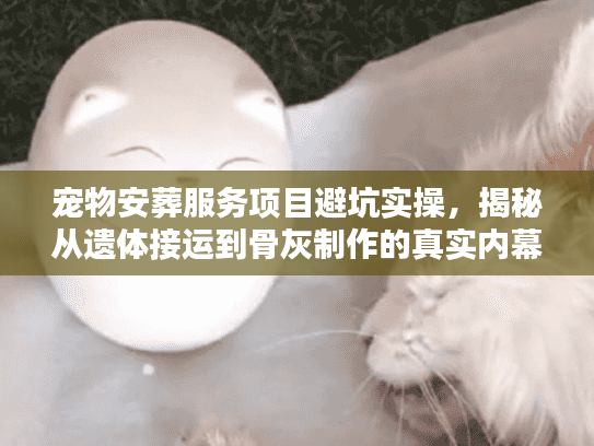 宠物安葬服务项目避坑实操，揭秘从遗体接运到骨灰制作的真实内幕