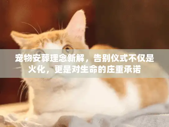 宠物安葬理念新解,告别仪式不仅是火化,更是对生命的庄重承诺 宠物安葬理念新解,告别仪式不仅是火化,更是对生命的庄重承诺