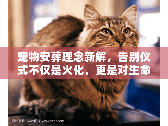 宠物安葬理念新解,告别仪式不仅是火化,更是对生命的庄重承诺 宠物安葬理念新解,告别仪式不仅是火化,更是对生命的庄重承诺