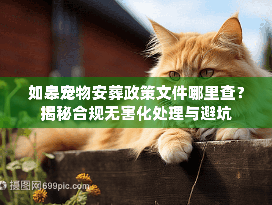如皋宠物安葬政策文件哪里查？揭秘合规无害化处理与避坑