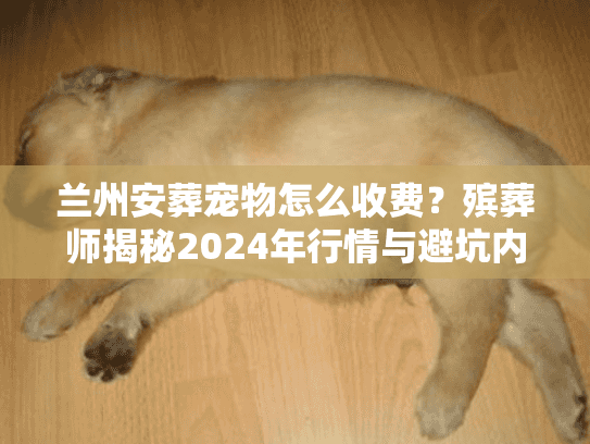 兰州安葬宠物怎么收费?殡葬师揭秘2024年行情与避坑内幕 兰州安葬宠物怎么收费?殡葬师揭秘2024年行情与避坑内幕