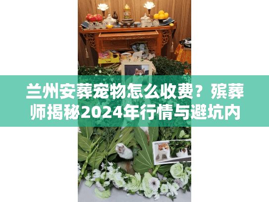 兰州安葬宠物怎么收费?殡葬师揭秘2024年行情与避坑内幕 兰州安葬宠物怎么收费?殡葬师揭秘2024年行情与避坑内幕