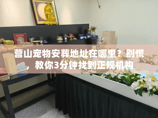 营山宠物安葬地址在哪里?别慌,教你3分钟找到正规机构 营山宠物安葬地址在哪里?别慌,教你3分钟找到正规机构